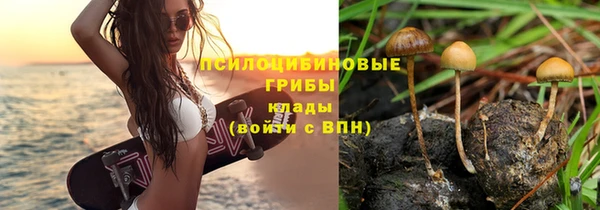 сатива Арсеньев