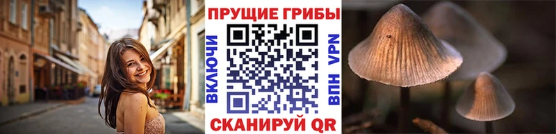 Галлюциногенные грибы Cubensis  Королёв 